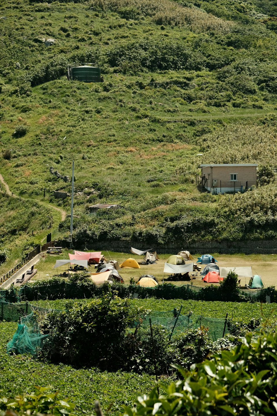 Colorful tents pitched on a grassy field with green hills behind.