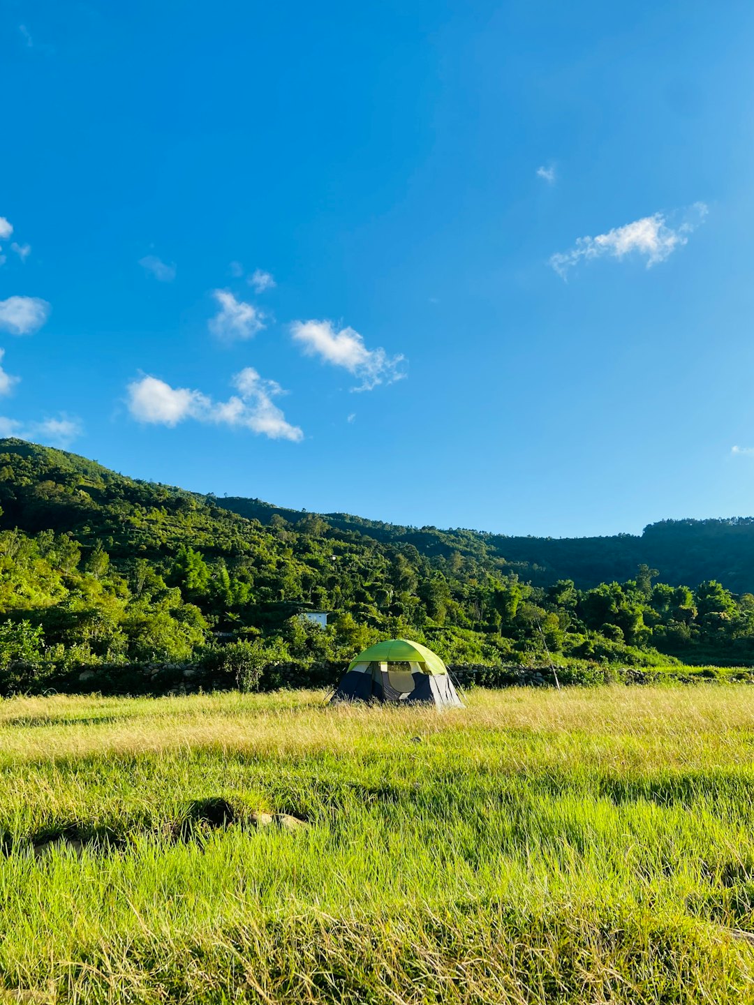 A camping tent stands in a grassy field before mountains.