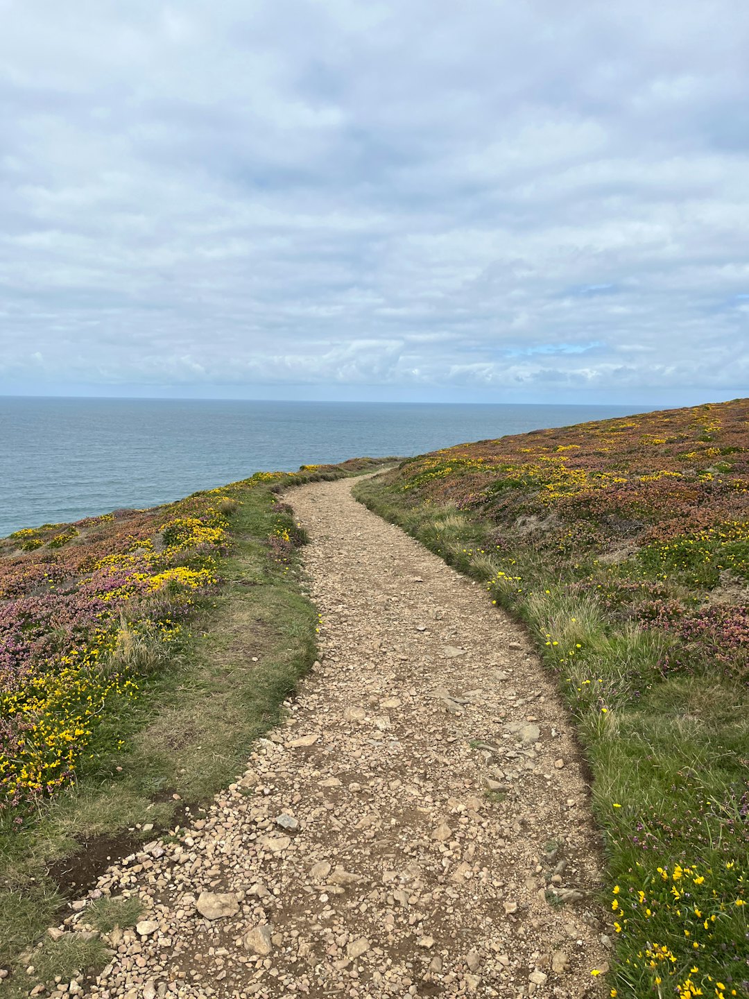 A gravel path winds along a grassy coastal cliffside.